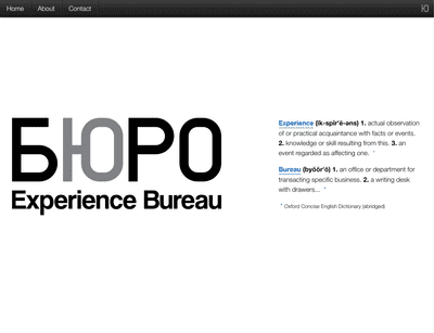 Sample screen from the Experience Bureau website